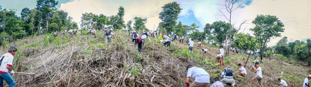 5 AURA PES Planting Day Pano